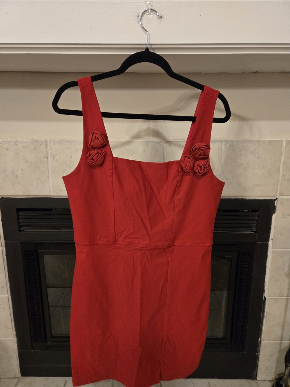 Francesca's Collections Red Sleeveless Mini Dress with Rosette Straps